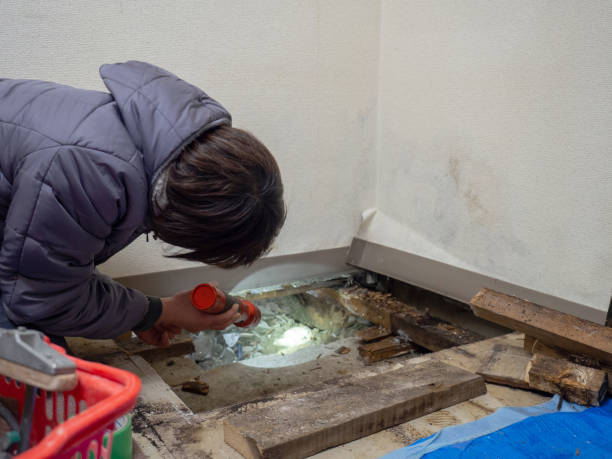 Best Air Quality Testing for Mold Spores  in Parkland, FL
