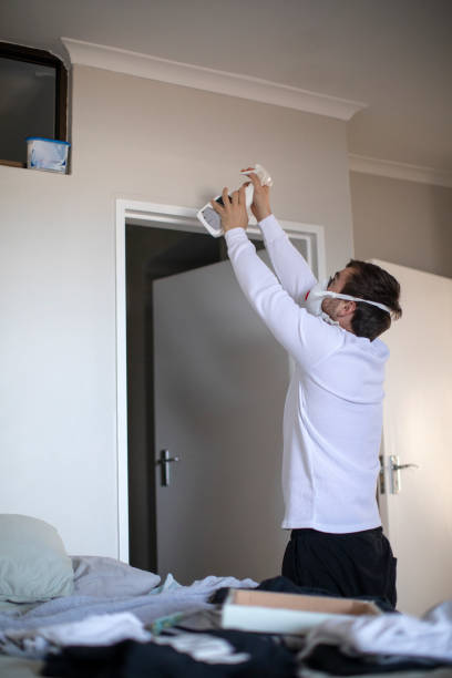  Parkland, FL Mold Removal Pros