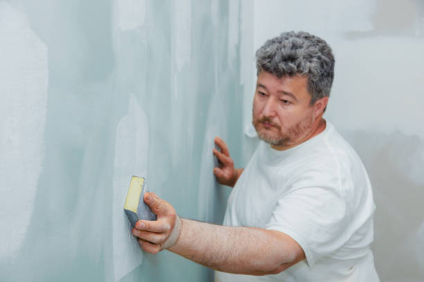Best Environmental Consulting for Mold Prevention  in Parkland, FL