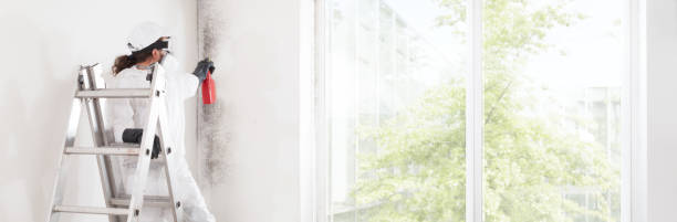 Best Dehumidification Services  in Parkland, FL